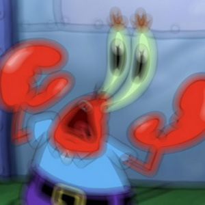 Meet your Posher, Donavan